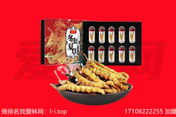 南宁回收虫草.jpg